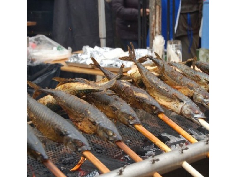 Jubiliejinės „Palangos stintos“ dalyviai kurorte pasijuto lyg vasarą