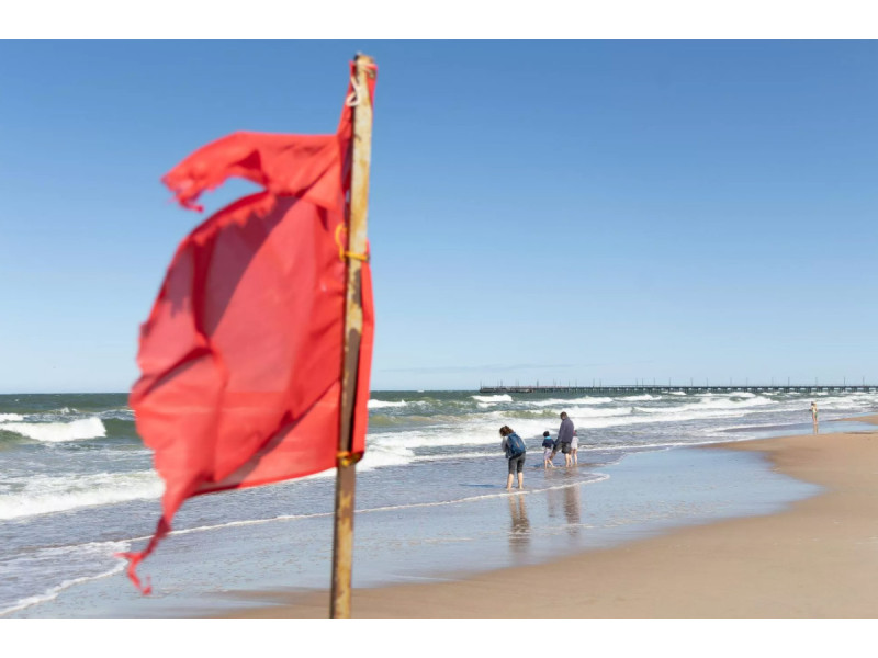 Paplūdimys prie Baltijos jūros. |  ELTA / Dainius Labutis