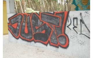 Policijai apie įžūlų grafiti chuliganą ZED niekas iki šiol nepranešė