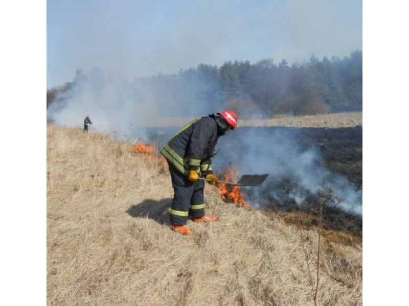 Už žolės deginimą piliečiai gali būti nubausti nuo 57 iki 289 eurų bauda