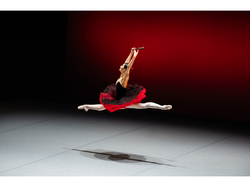 Tarptautinis baleto gala. Eglės Sabaliauskaitės nuotr.