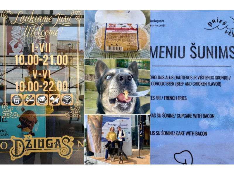 Augintiniams draugiškos kavinės egzistuoja ne visur Lietuvoje. E.Kakanauskienės nuotr.