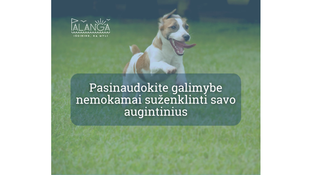 Pasinaudokite galimybe nemokamai suženklinti savo augintinius