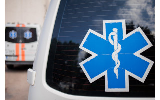 Palangos plente į kelią išbėgę šernai sukėlė chaosą, avarijose sužeisti trys žmonės