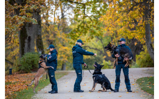 2022 m. Klaipėdos policijos pareigūnams aktyviai talkino keturkojai kolegos