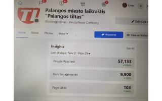 Facebook/Palangostiltas muša rekordus, stebina ekspertus