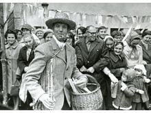 Parodos KRETINGOS MEDINUKAI eksponatų kūrėjas Bronius Žymantas