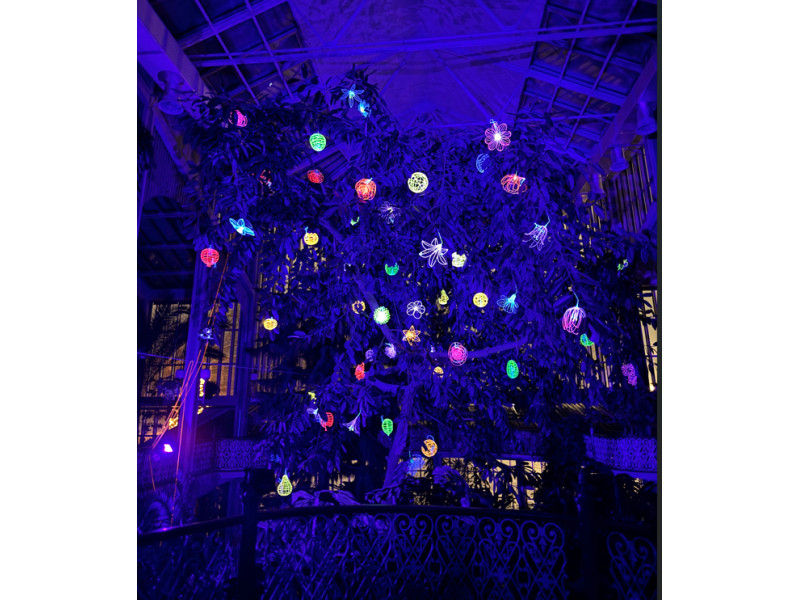 Kretingos muziejaus nuotr. 