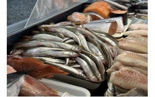 Pirmosios stintos turguje – už kilogramą prašoma 15 eurų