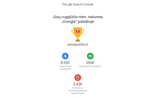 „Google“ įvertino „Palangos tiltą“: per rugpjūtį – net 256 tūkst. parodymų paieškoje