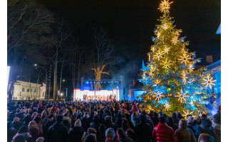 Palanga ieško kalėdinių eglučių! Padėkite kurti žiemos stebuklą!