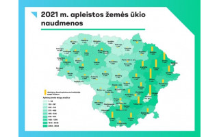 Suskaičiavo apleistą žemę – kas rekordininkai, Palanga gali pasidžiaugti – neturi tokių sklypų