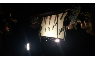 Lietuvos teatro sąjungos projektas Šventojoje "VASARA SU TEATRU"