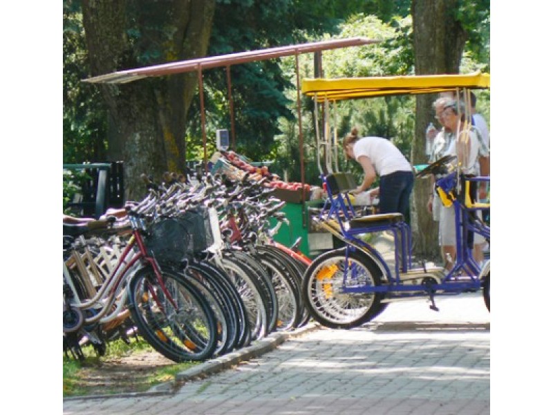 Daugiausia klientų nuomos punktai sulaukia savaitgaliais, švenčių dienomis.