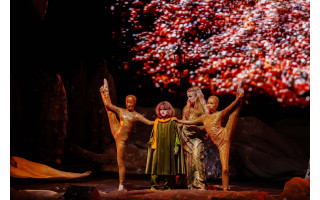 Žvaigždžių vaikai debiutavo miuzikle „Mažasis princas“ – jaudinančios garsių artistų sūnų premjeros