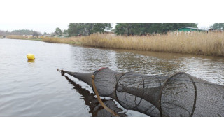 Akcija „Lašiša 2021“: aplinkosaugininkai tikrino Šventosios upėje žvejojančius verslininkus