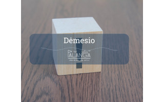 Šventojiškių dėmesiui: gyventojams aktualios paslaugos – arčiau namų