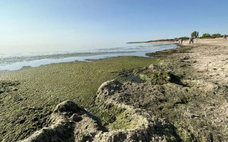 Į pajūrį atvykusius poilsiautojus ištiko šokas: neįmanoma prieiti arčiau jūros – tiesiog pykina 