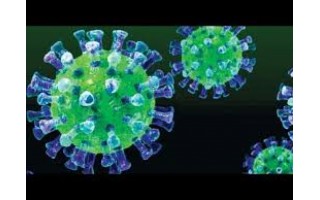 Koronaviruso infekcija diagnozuota iš viso 8 palangiškiams, 6 iš jų – medikai, dirbantys Klaipėdoje