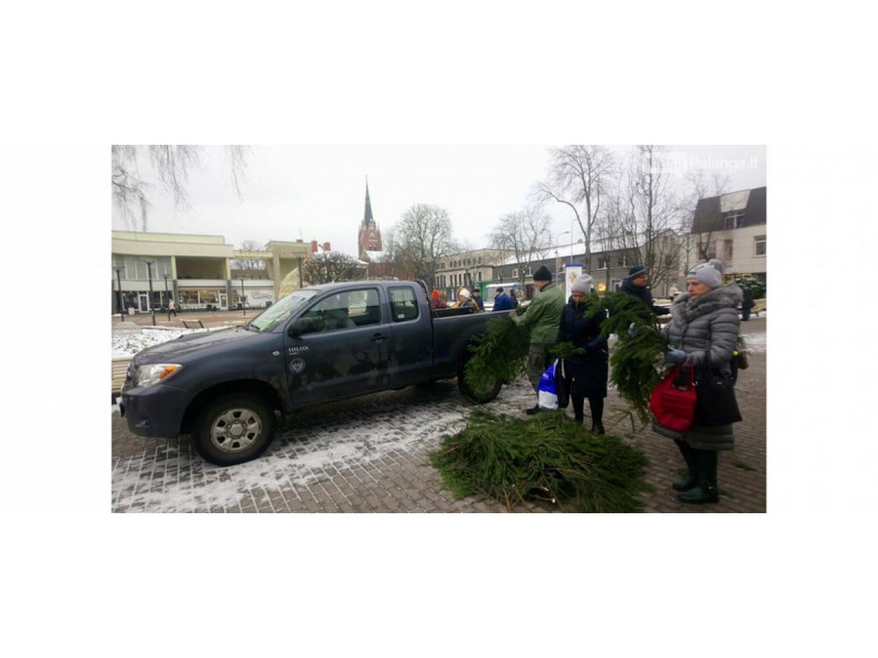 Miškininkai gruodžio 20 d. kaip ir kasmet kviečia parsinešti Kalėdas į savo namus