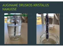 Gimnazistai, besidomintys chemija, augino druskos kristalus              