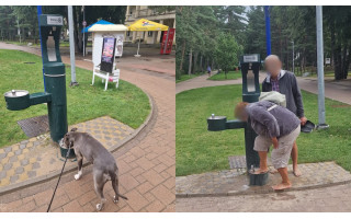 Palangoje rado naują vietą kojoms plauti – vietiniai niršta