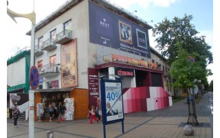 Valdžios neįgalumas: nustatyta 150 nelegalių lauko reklamų, baudos – nė vienos