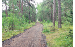 Aplinkosaugininkai primena transporto priemonių statymo pajūryje taisykles