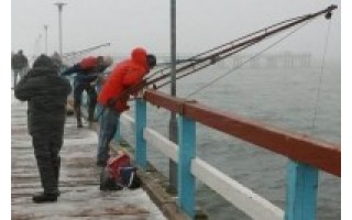 Mėgėjams žvejams prieš stintų meškeriojimo varžybas reikėtų pasitreniruoti