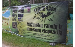 Už milžiniškus vabalus – pyla direktoriui, verslininkas svarsto palikti Lietuvą