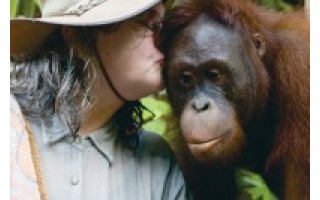 Žymiausia pasaulyje orangutangų tyrinėtoja neaplenkia ir Palangos