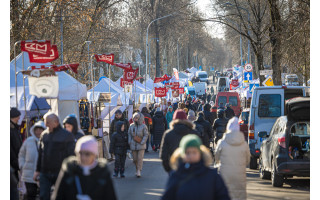 Jau prasidėjo: Palangą dvidešimtąjį kartą užkariauja mažoji žuvelė stinta