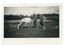 Antanina Dambrauskaitė. Apie 1930. LTMKM archyvo nuotr.