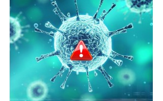 Palanga numatė atokias patalpas asmenims sergantiems koronavirusu izoliuoti