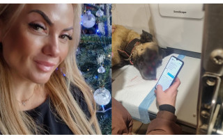 Palangoje – šiurpus išpuolis prieš šunį: įtaria, kad išviliojo iš kiemo ir subadė