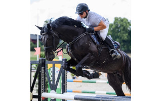 Palangos žirgyno savininkas Mantas Šeškus: „Žirgas simbolizuoja judėjimą, darbą, ryžtą, pagalbą“