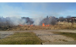 Apleistas žemės sklypas perpildė kantrybės taurę