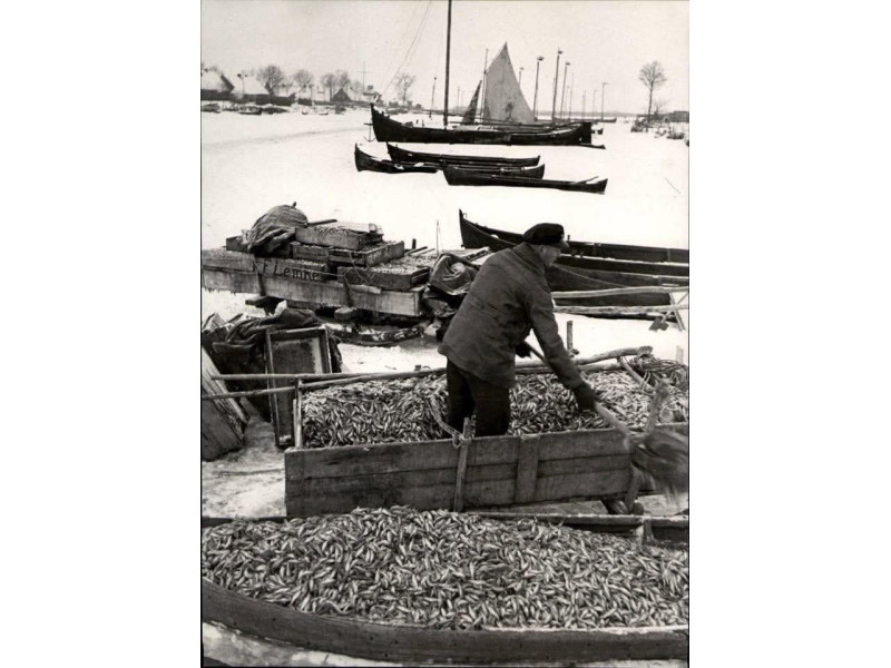 Palanga ruošiasi tradicinei stintų šventei vasario 6-8 dienomis 