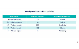 Savivaldybių tarybų ir merų rinkimų metu rinkėjai balsuos 1926 apylinkėse