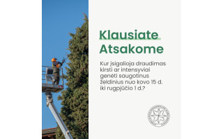 Informacija apie dėl želdinių genėjimą paukščių perėjimo laikotarpiu