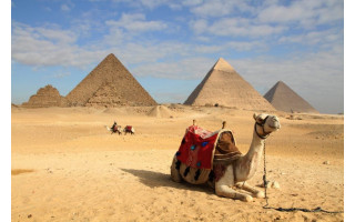 Palangos meras Šarūnas Vaitkus susidūrė su nestandartine situacija – žmonės prašė pagalbos, nes netilpo į lėktuvą į Egiptą