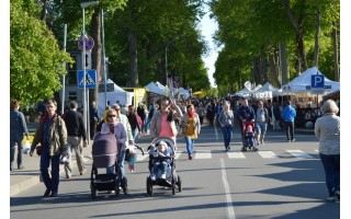 Palanga skelbia vasaros pradžią: laukiama būrio svečių