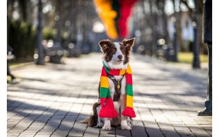 Aldas Ten (Aldo Kazlausko nuotr.)