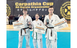 Okinaviečių kovos Lenkijoje: iškovoti visų spalvų medaliai