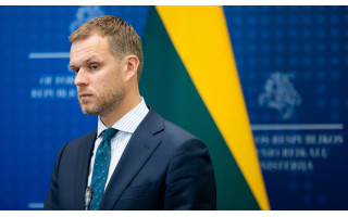 Partijos pirmininkas Landsbergis nedalyvaus konservatorių suvažiavime: išvyksta į Ukrainą