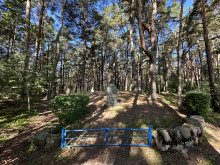 Palangos Senosios žydų kapinės. Fotografas Mindaugas Surblys