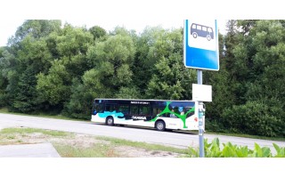 Nemirsetos autobusų stotelės autobusų vairuotojai nepastebi