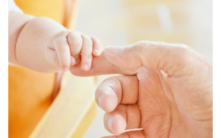 Palangoje pernai gimė 145 kūdikiai, mirė 254 gyventojai, užpernai gimė 151, mirė 263