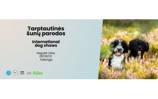 Į pajūrį atvyksta tarptautinė šunų mylėtojų bendruomenė!