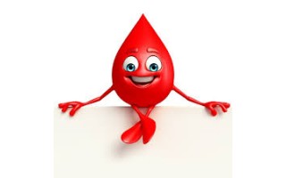 Lapkričio 14 d. Savivaldybėje – kraujo donorystės akcija